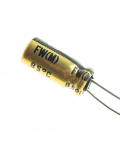 Nichicon 22uF / 63V FW audio electrolytic capacitor