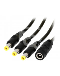 Daisy chain (BQ cable) 1 to 3 cable